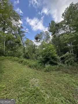 Residential Land in Rabun Gap