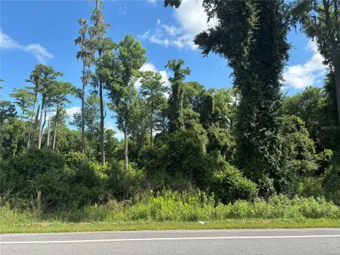 BUNNELL Homesite Opportunity