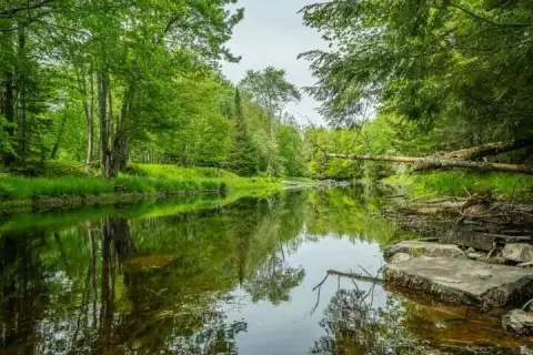 Maine Land with River Frontage
