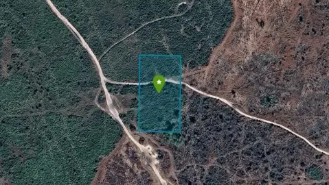 Okeechobee Recreational/Agricultural Land Parcel