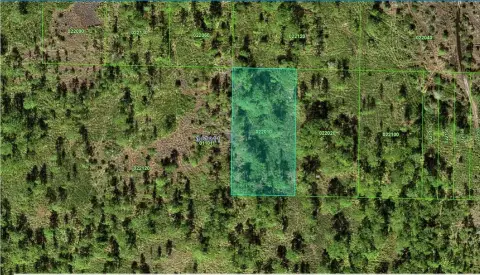 Vacant Land in Lake Wales