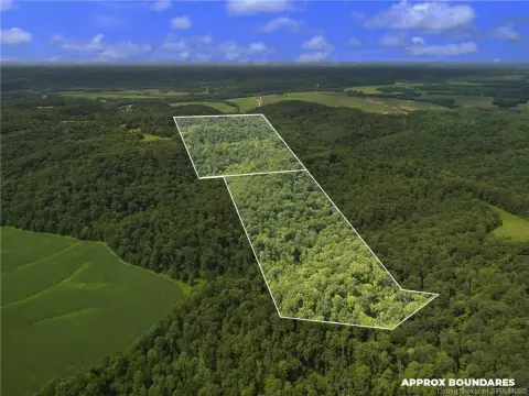 Wooded Hunting Land