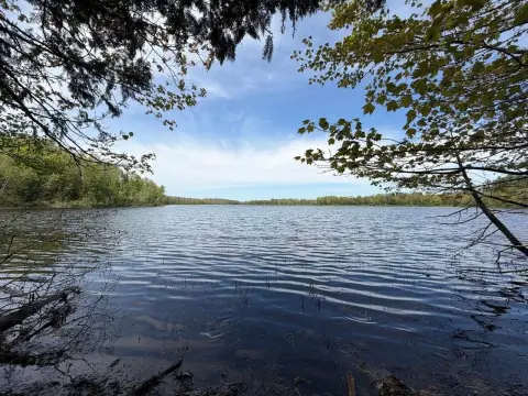 Oxbow Lake Waterfront Land
