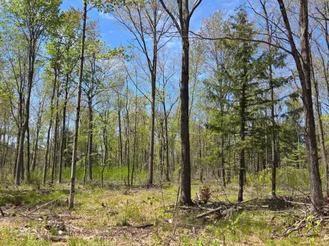Land in the Northwoods