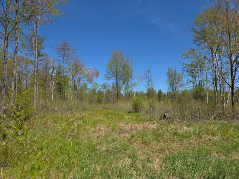 Brantwood, WI Land For Sale