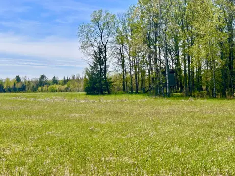 Langlade County Land For Sale