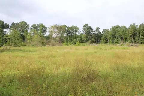 Hunting Land with Building Site