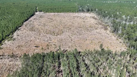 20-Acre Hunting Land