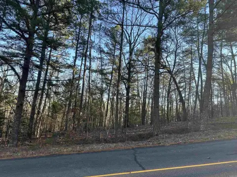 Residential Lot in Hot Springs