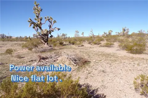 Dolan Springs Land For Sale