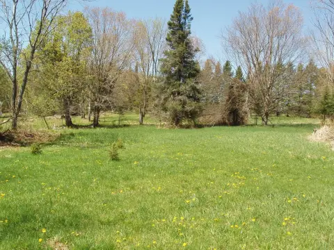 Secluded Glidden Land with Creek