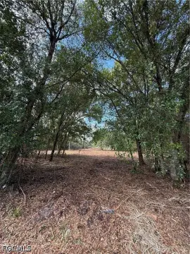 Cleared Acre Lot in Clewiston