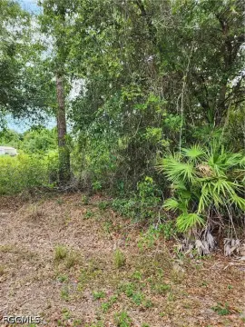 Lehigh Acres Oversized Lot