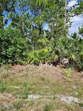 Residential Land in Lehigh Acres