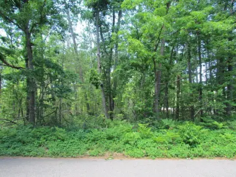 Wooded Waterfront View Land