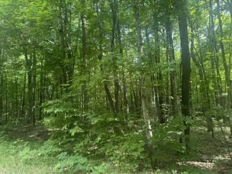 Wooded Recreational Land Parcel
