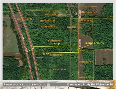Wooded Hunting Acreage Parcel