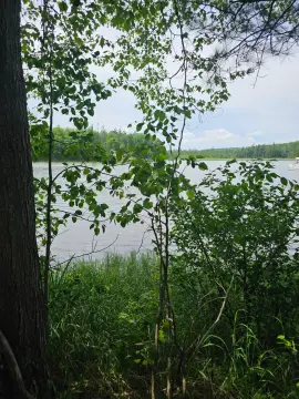 Waterfront Wooded Lot