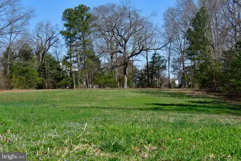 Residential Lot in Blue Ridge