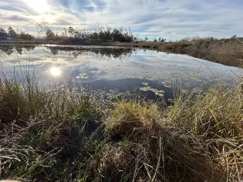 50-Acre Ranching and Recreation Land