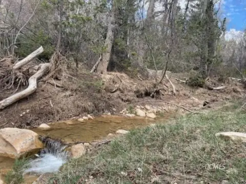 Creek-Front Lot in Duck Creek