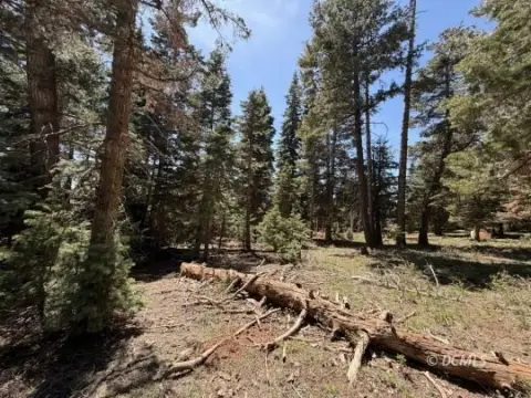 Residential Lot in Duck Creek