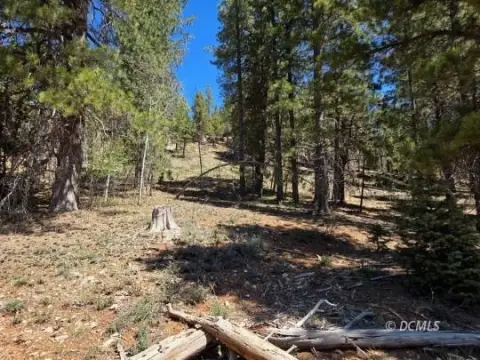 Residential Lot in Duck Creek Village