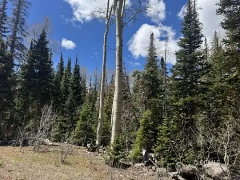 Brian Head Wooded Lot