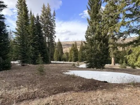 Mountain Cabin Lot in Residential Zone