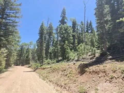 Residential Lot in Duck Creek