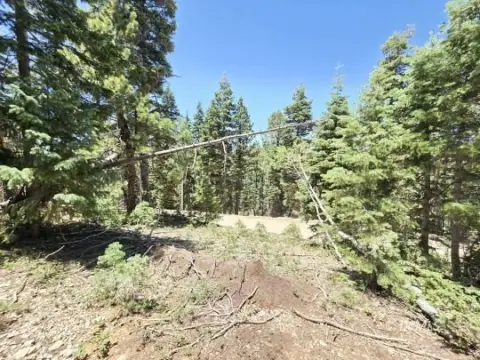 Residential Lot Bordering National Forest