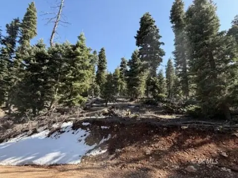 Wooded Lot Bordering National Forest