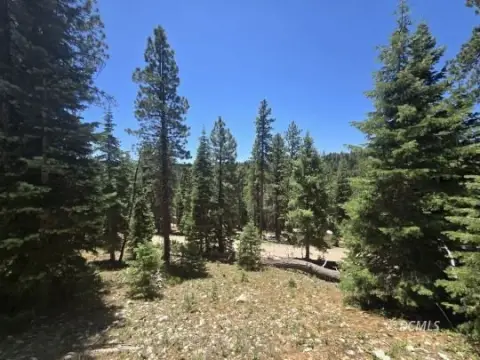 Land Parcel Borders National Forest