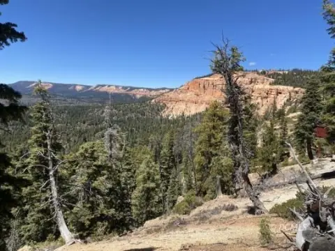 Residential Lot with Mountain Views