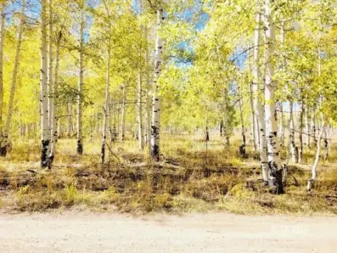 Residential Land Near Zion Park