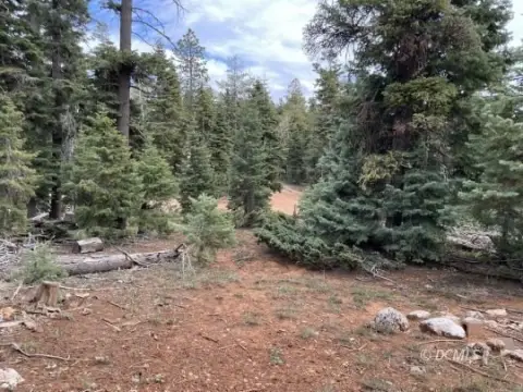 Residential Lot in Duck Creek