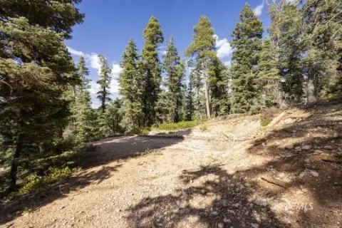 Residential Lot Near National Forest