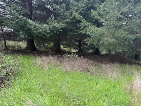 Shelter Cove Buildable Lot