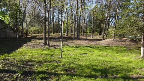 Land For Sale, Manchester, MI
