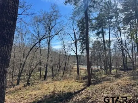 Wooded Lakefront Land