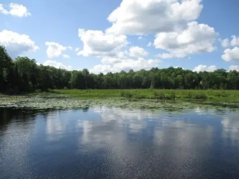 Catherine Lake Waterfront Land Parcel