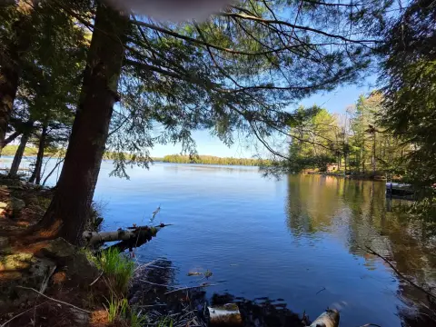Lake Alice Building Lot