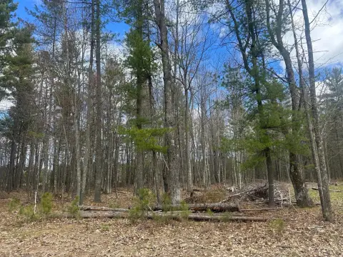 Buildable Residential Land Lot