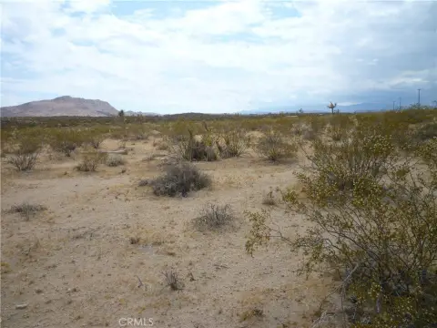 Joshua Tree Land Parcel