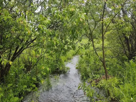 Corner Hunting Land Parcel