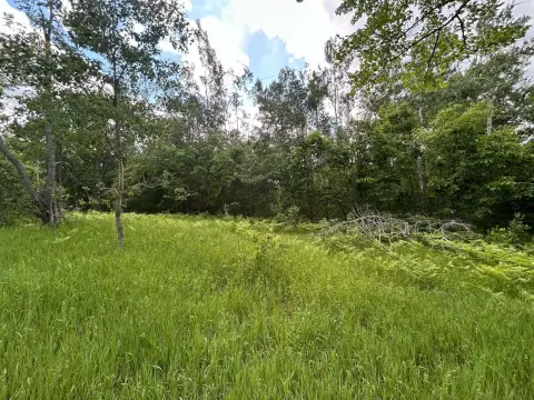 Wooded Recreation Land Parcel