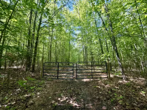 Hunting and Recreation Land Parcel
