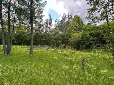 Wooded Waterfront Hunting Land