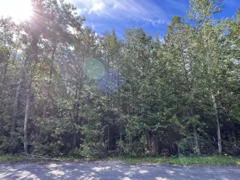 Wooded Residential Lot in Association