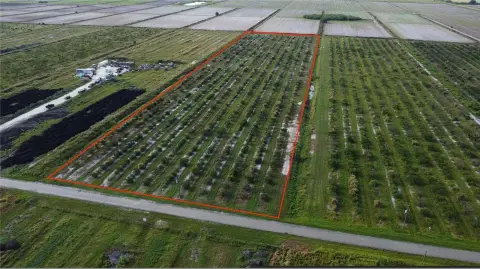 PUNTA GORDA Buildable 10 Acres
